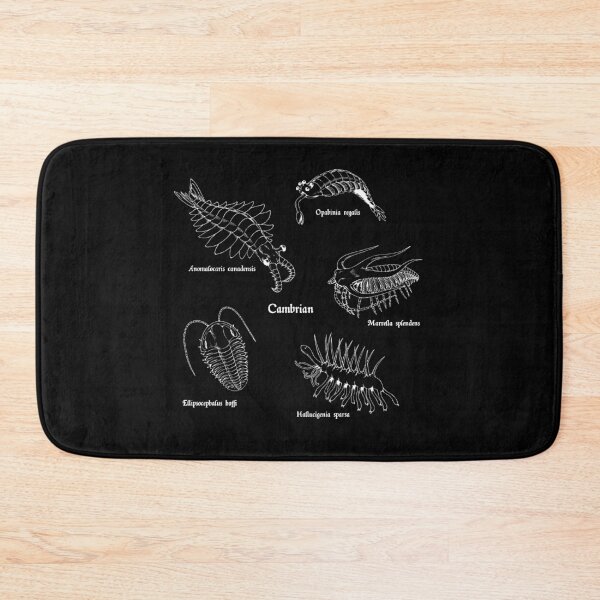Item preview, Cambrian Life (Textbook Style Font) designed and sold by DavidNeffArt.