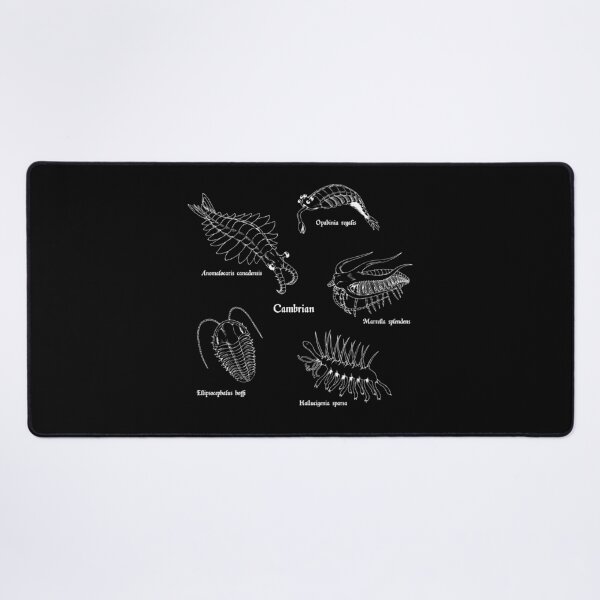 Item preview, Cambrian Life (Textbook Style Font) designed and sold by DavidNeffArt.