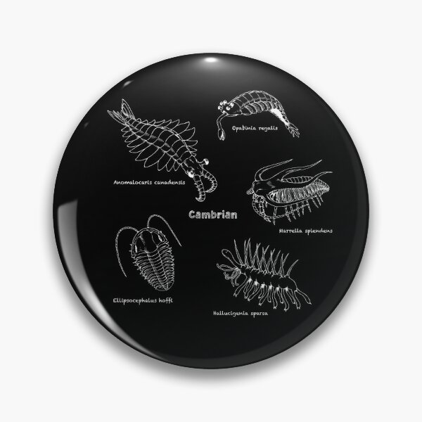 Item preview, Cambrian Life (Chalkboard Style Font) designed and sold by DavidNeffArt.