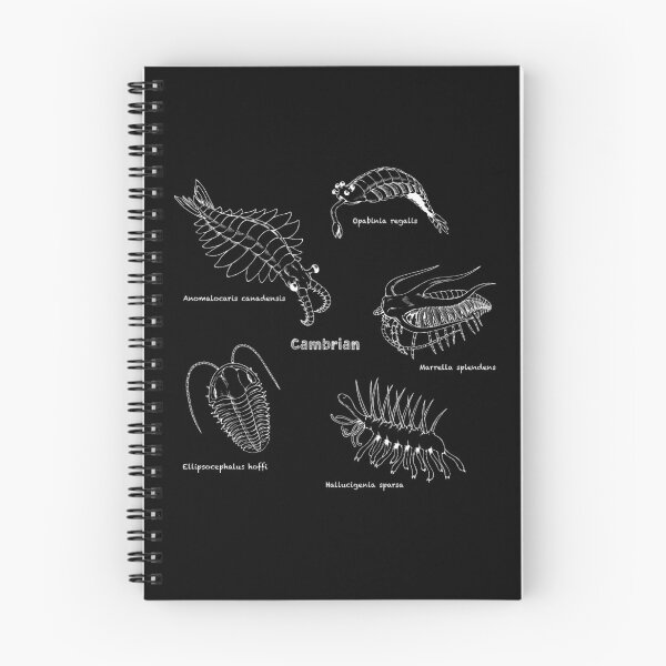Item preview, Cambrian Life (Chalkboard Style Font) designed and sold by DavidNeffArt.
