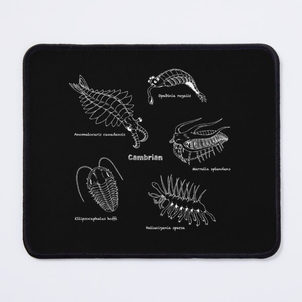 Item preview, Cambrian Life (Chalkboard Style Font) designed and sold by DavidNeffArt.