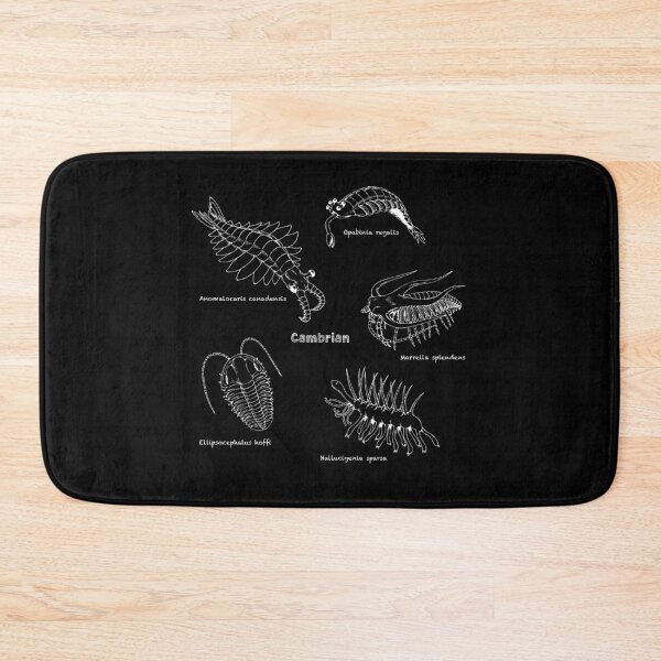 Item preview, Cambrian Life (Chalkboard Style Font) designed and sold by DavidNeffArt.