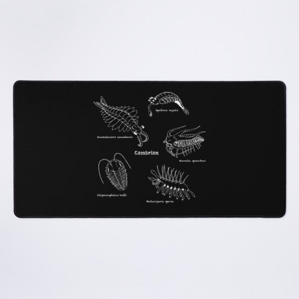 Item preview, Cambrian Life (Chalkboard Style Font) designed and sold by DavidNeffArt.