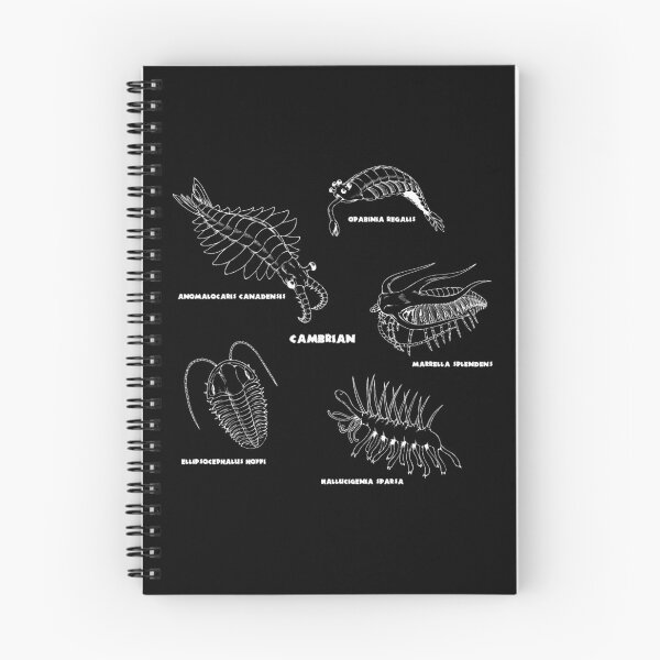 Item preview, Cambrian Life (Brush Stroke Style Font) designed and sold by DavidNeffArt.