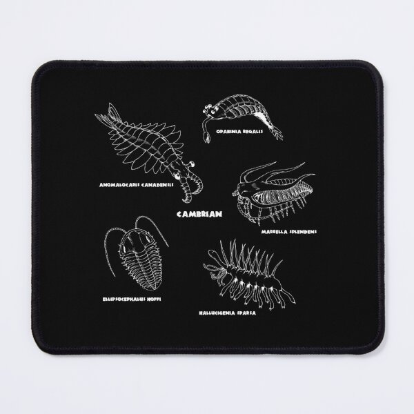Item preview, Cambrian Life (Brush Stroke Style Font) designed and sold by DavidNeffArt.