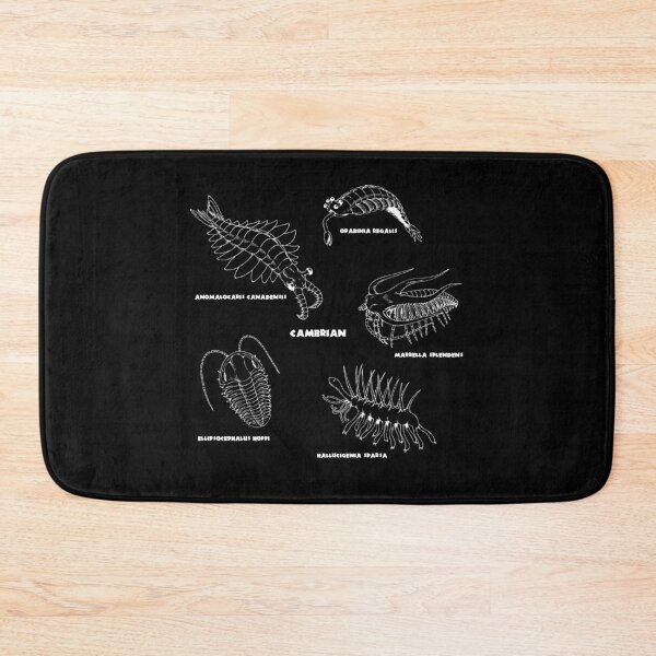 Item preview, Cambrian Life (Brush Stroke Style Font) designed and sold by DavidNeffArt.