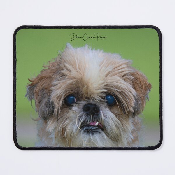Item preview, My Tooth designed and sold by Donna Cameron-Prosser.