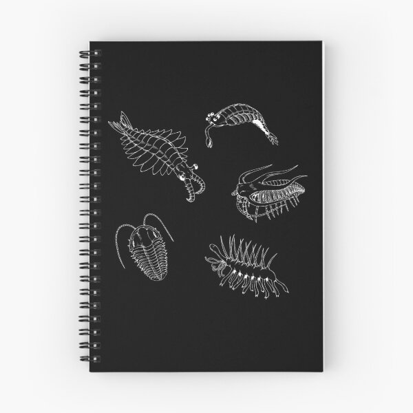 Item preview, Cambrian Life (No Font) designed and sold by DavidNeffArt.