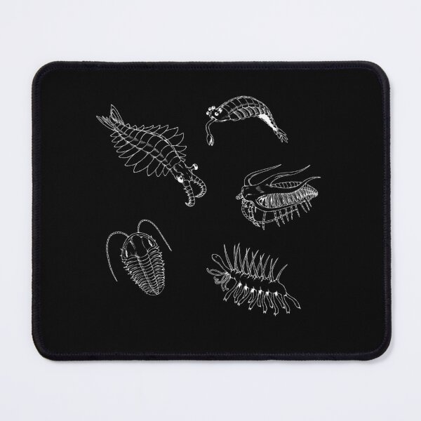 Item preview, Cambrian Life (No Font) designed and sold by DavidNeffArt.