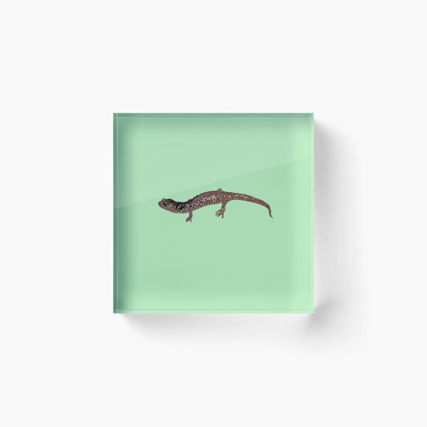 Item preview, Arboreal Salamander Color Design  designed and sold by designsasstultd.