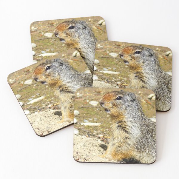Item preview, Prairie Dog #8 designed and sold by KingdomWildlife.