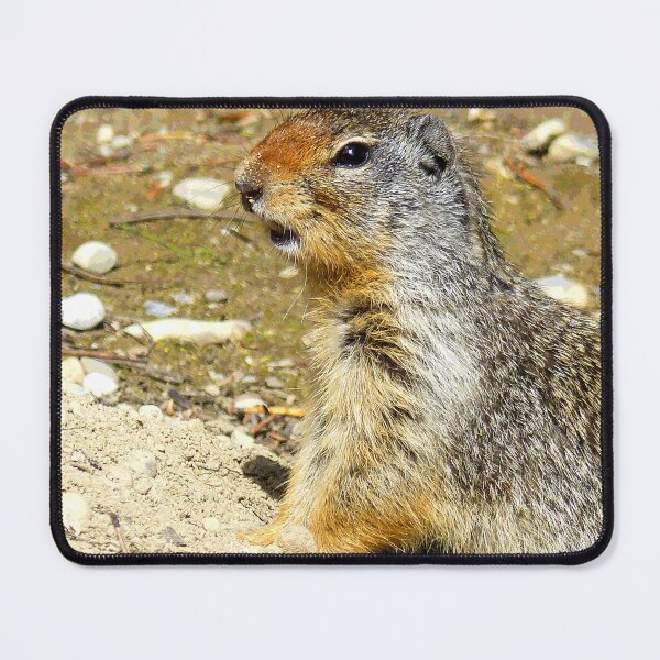 Item preview, Prairie Dog #8 designed and sold by KingdomWildlife.