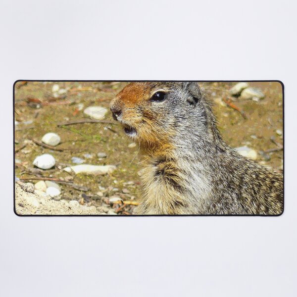 Item preview, Prairie Dog #8 designed and sold by KingdomWildlife.
