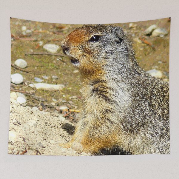 Item preview, Prairie Dog #8 designed and sold by KingdomWildlife.
