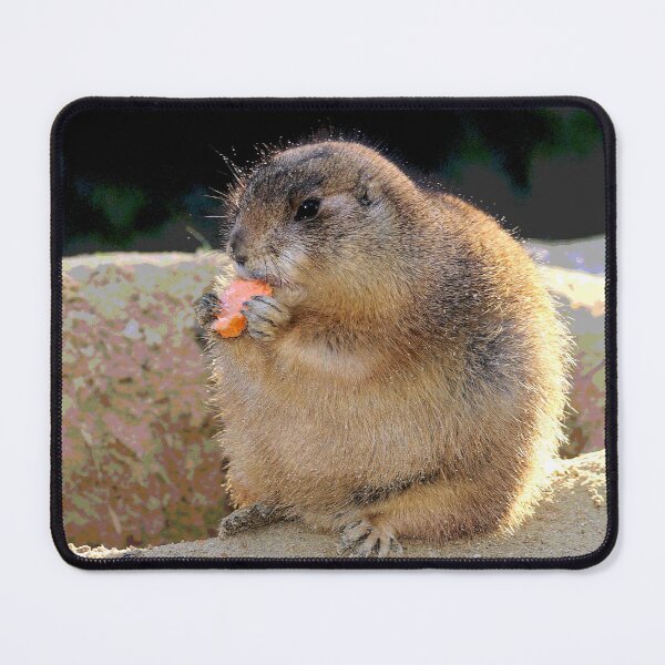 Item preview, Prairie Dog #10 designed and sold by KingdomWildlife.