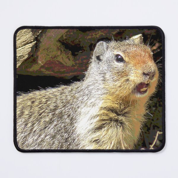 Item preview, Prairie Dog #12 designed and sold by KingdomWildlife.