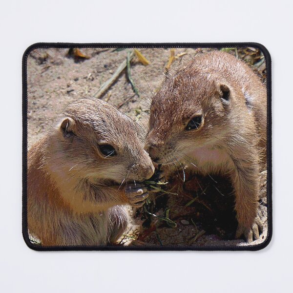 Item preview, Baby Prairie Dogs designed and sold by KingdomWildlife.