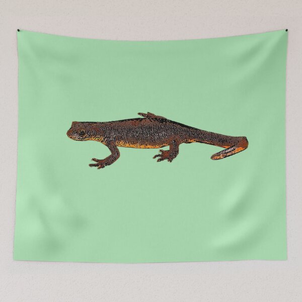 Item preview, Copy of California Newt Black Alternate Design  designed and sold by designsasstultd.