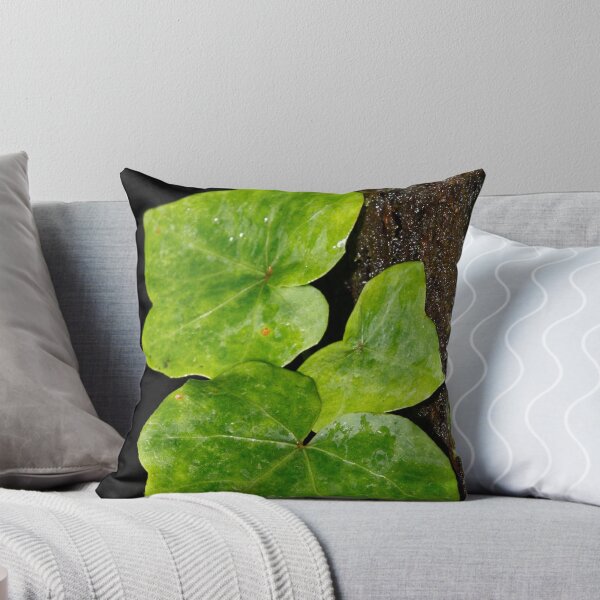 Item preview, Hedera designed and sold by Gaspar Avila.