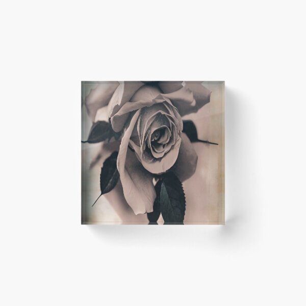 Item preview, Rose designed and sold by MatrixTattoo.