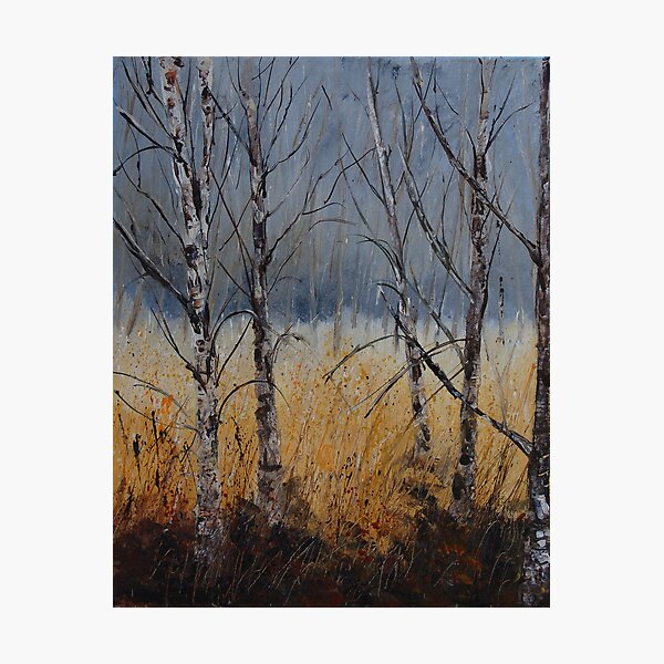 Item preview, Birch trees designed and sold by calimero.