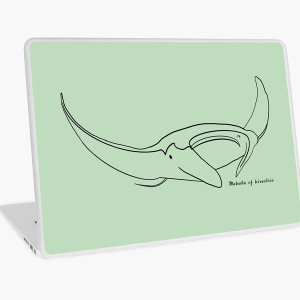 Manta ray outline BLACK with Latin name GREEN Laptop Skin