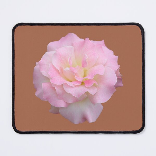 Item preview, Pale Pink Rose on Brown designed and sold by STHogan2.