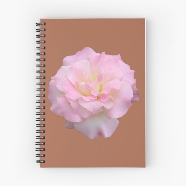 Item preview, Pale Pink Rose on Brown designed and sold by STHogan2.
