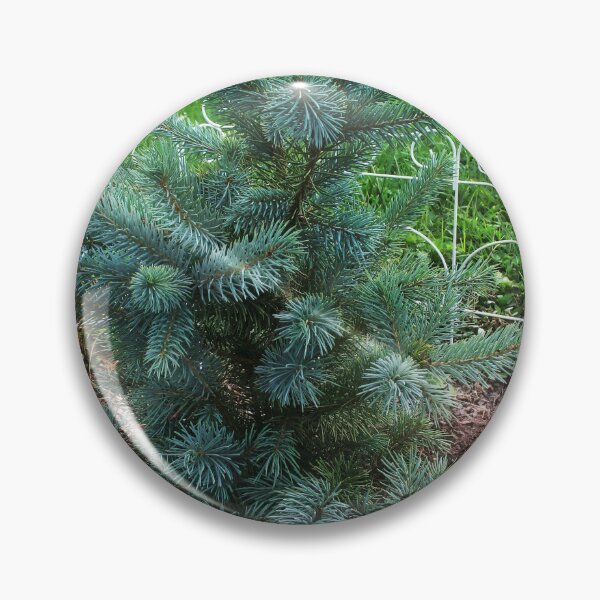 Item preview, Little Blue Pine designed and sold by PandLcreations.