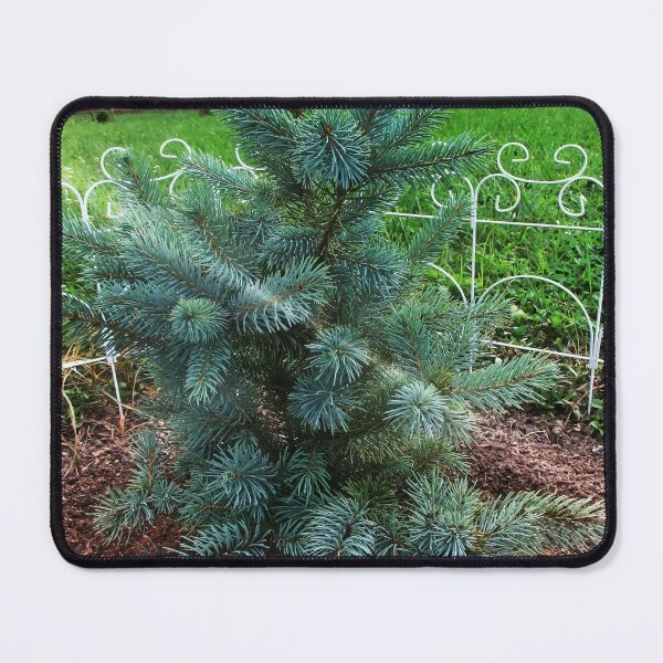 Item preview, Little Blue Pine designed and sold by PandLcreations.