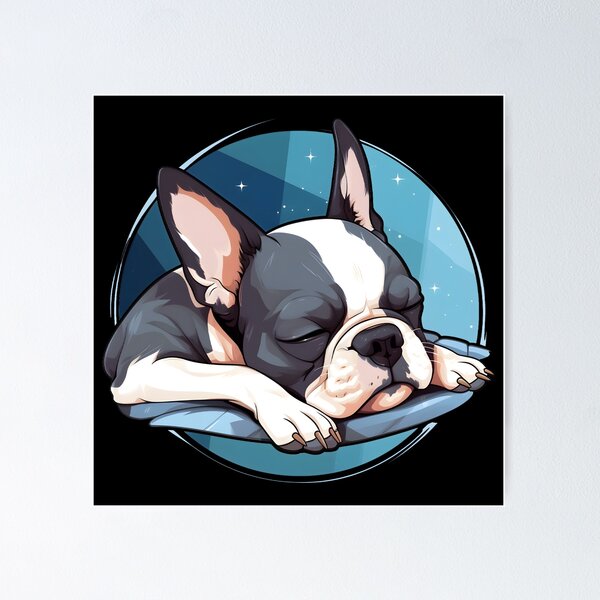 Aperçu de l'œuvre Cute Sleeping Boston Terrier créée et vendue par Leonardo Palumbo.
