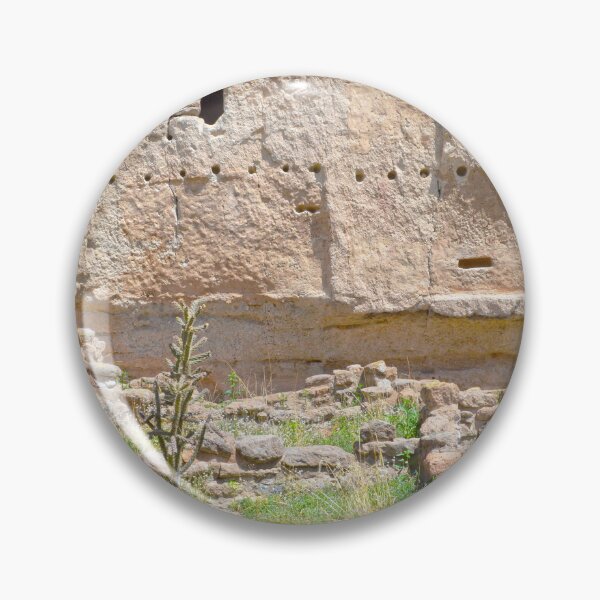 Item preview, Chollo Cactus at Bandelier National Monument, New Mexico designed and sold by Catherine Sherman.
