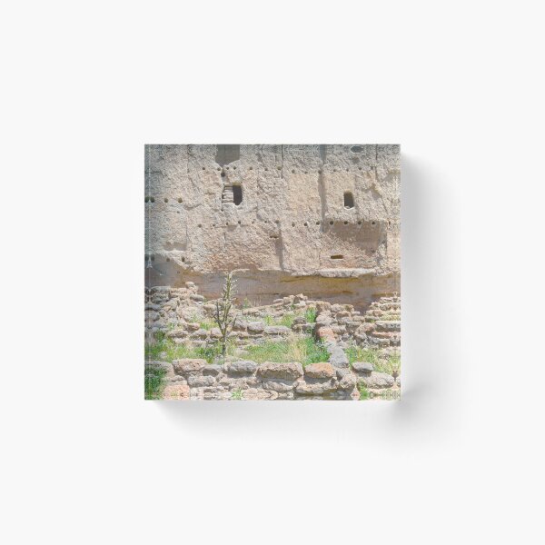 Item preview, Chollo Cactus at Bandelier National Monument, New Mexico designed and sold by Catherine Sherman.