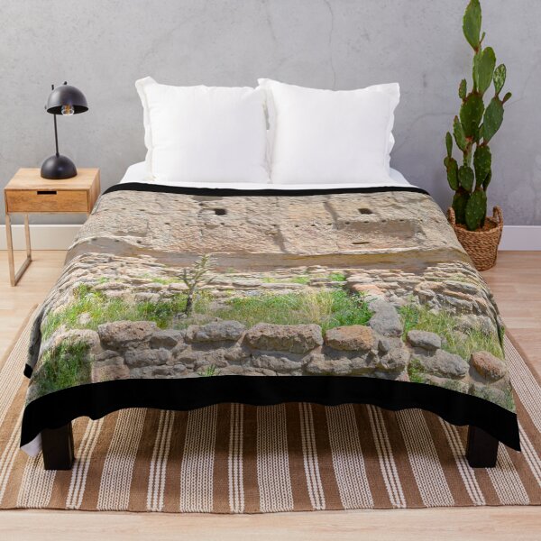 Item preview, Chollo Cactus at Bandelier National Monument, New Mexico designed and sold by Catherine Sherman.