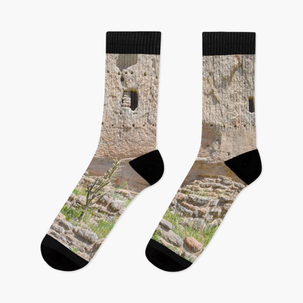 Item preview, Chollo Cactus at Bandelier National Monument, New Mexico designed and sold by Catherine Sherman.