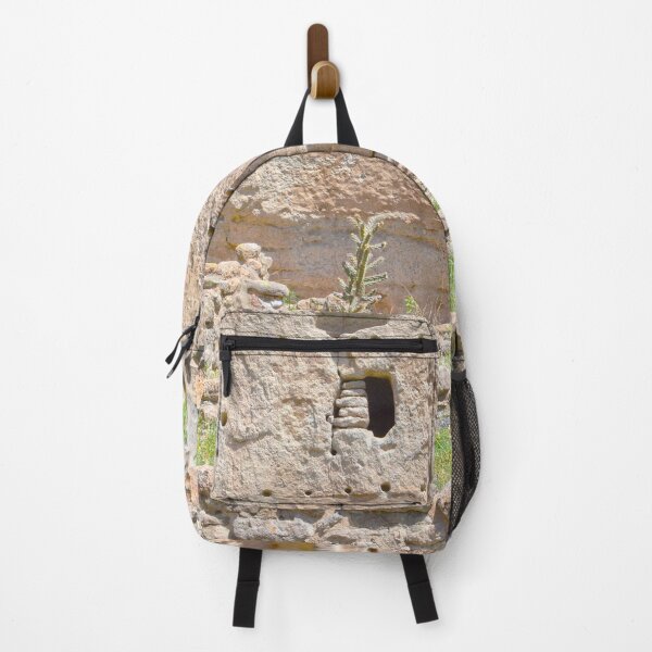 Item preview, Chollo Cactus at Bandelier National Monument, New Mexico designed and sold by Catherine Sherman.