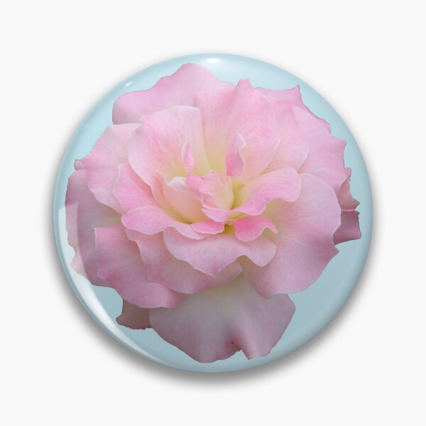 Item preview, Pale Pink Rose on Blue designed and sold by STHogan2.
