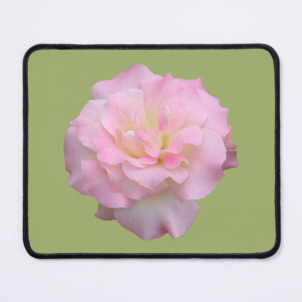Item preview, Pale Pink Rose on Pale Yellow Green designed and sold by STHogan2.