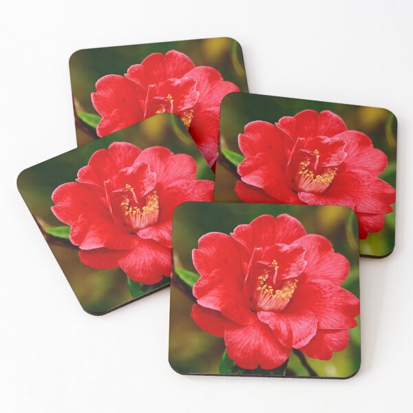 Item preview, Camellia japonica designed and sold by Gaspar Avila.