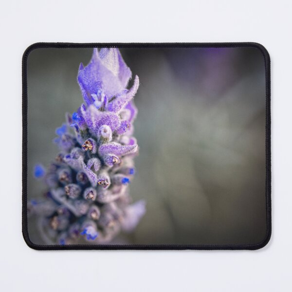 Item preview, Lavender flower designed and sold by Geraldine Holly.