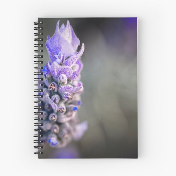 Item preview, Lavender flower designed and sold by Geraldine Holly.