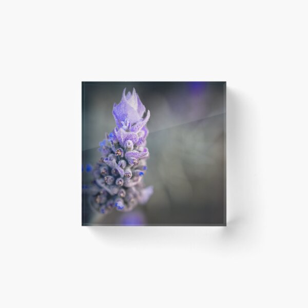Item preview, Lavender flower designed and sold by Geraldine Holly.