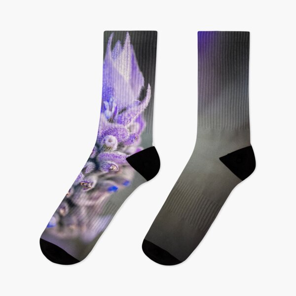 Item preview, Lavender flower designed and sold by Geraldine Holly.