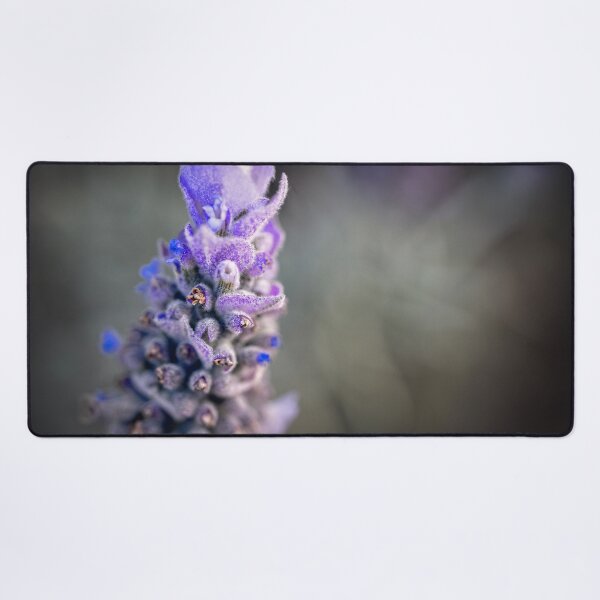 Item preview, Lavender flower designed and sold by Geraldine Holly.