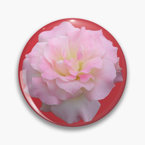 Item preview, Pale Pink Rose on Red designed and sold by STHogan2.