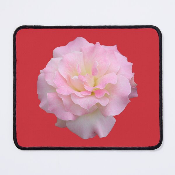 Item preview, Pale Pink Rose on Red designed and sold by STHogan2.