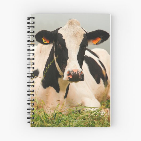 Item preview, Holstein cow designed and sold by Gaspar Avila.