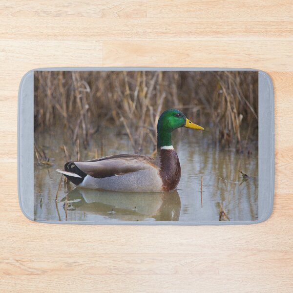 Item preview, The Beautiful Male Mallard designed and sold by CarolM.