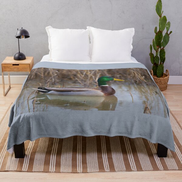 Item preview, The Beautiful Male Mallard designed and sold by CarolM.