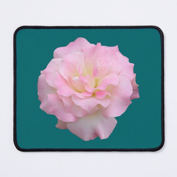 Item preview, Pale Pink Rose on Dark Green designed and sold by STHogan2.